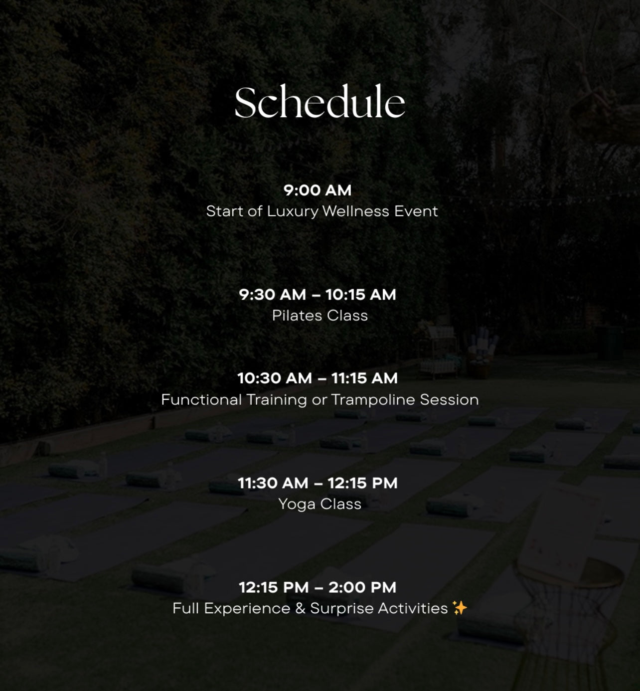 Luxury Wellness Event